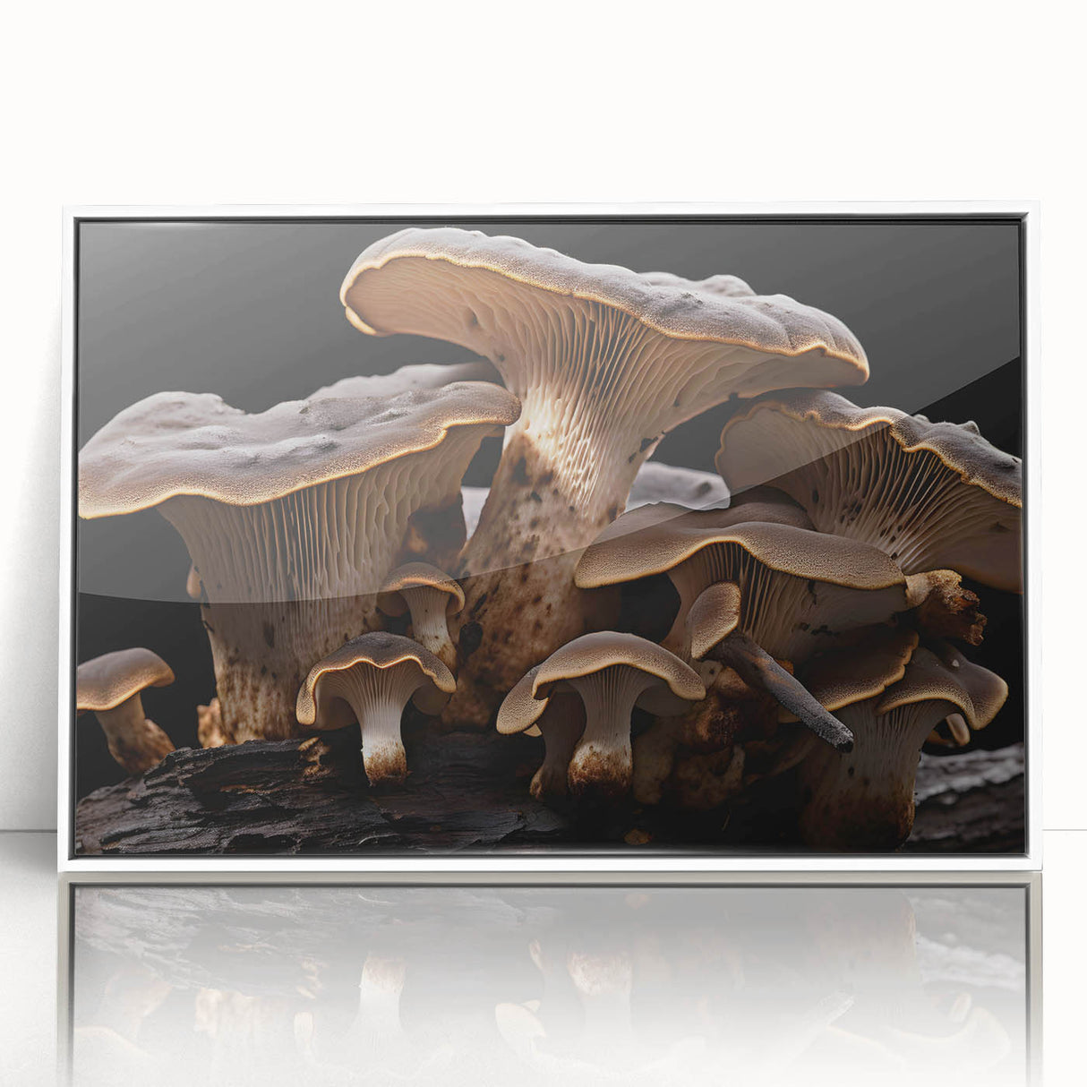 Framed wall art display featuring a botanical design of colorful flowers and mushrooms on a white background, ideal for home decor and nature enthusiasts.