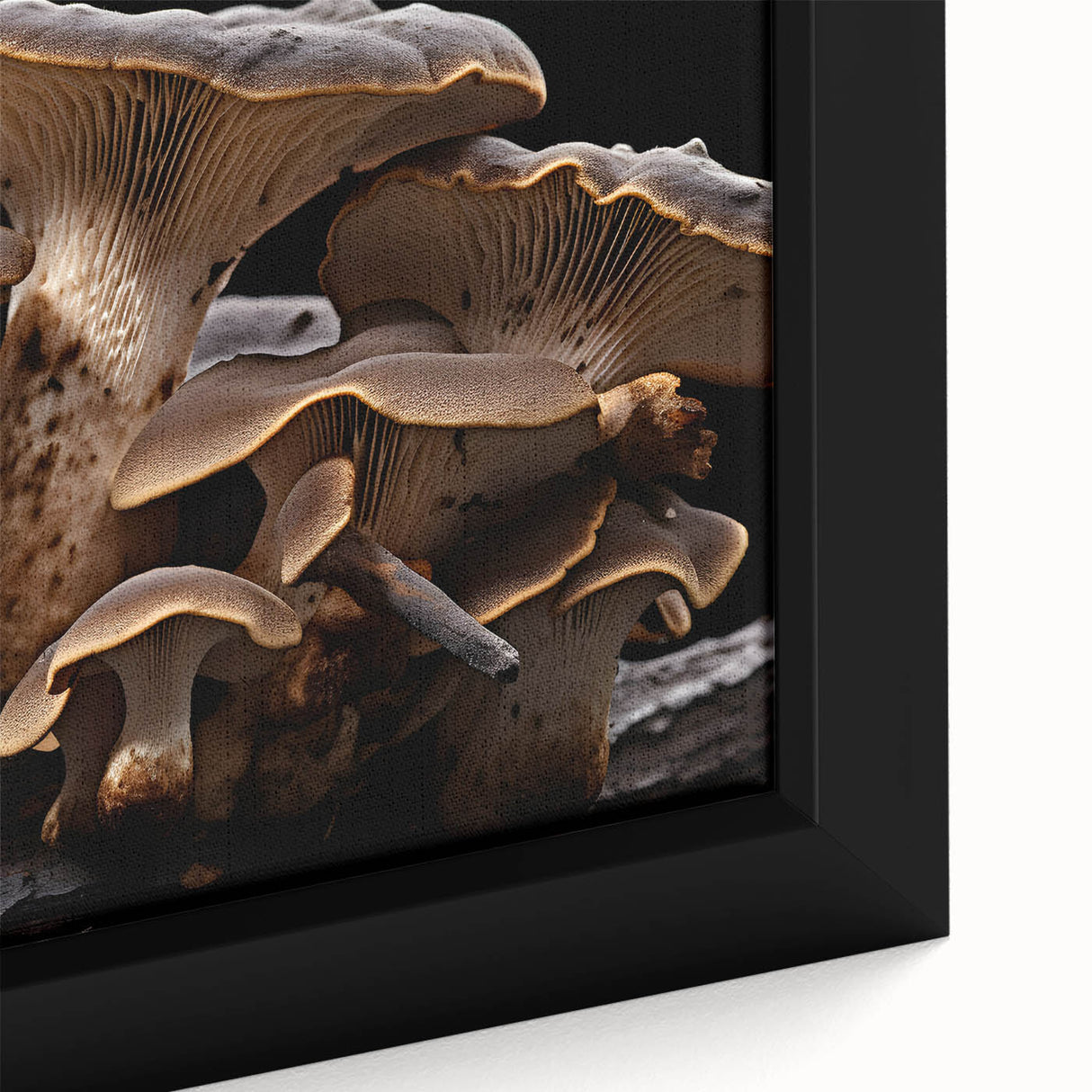 Close-up of a framed wall art piece showcasing a vibrant botanical design featuring various colorful mushrooms and flowers, perfect for home decor enthusiasts.