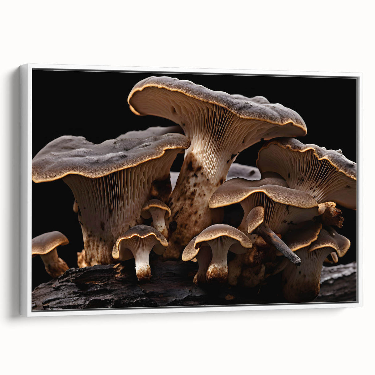 Framed canvas wall art featuring a botanical design of colorful flowers and mushrooms, displayed at an angle against a white background, ideal for nature-themed decor.