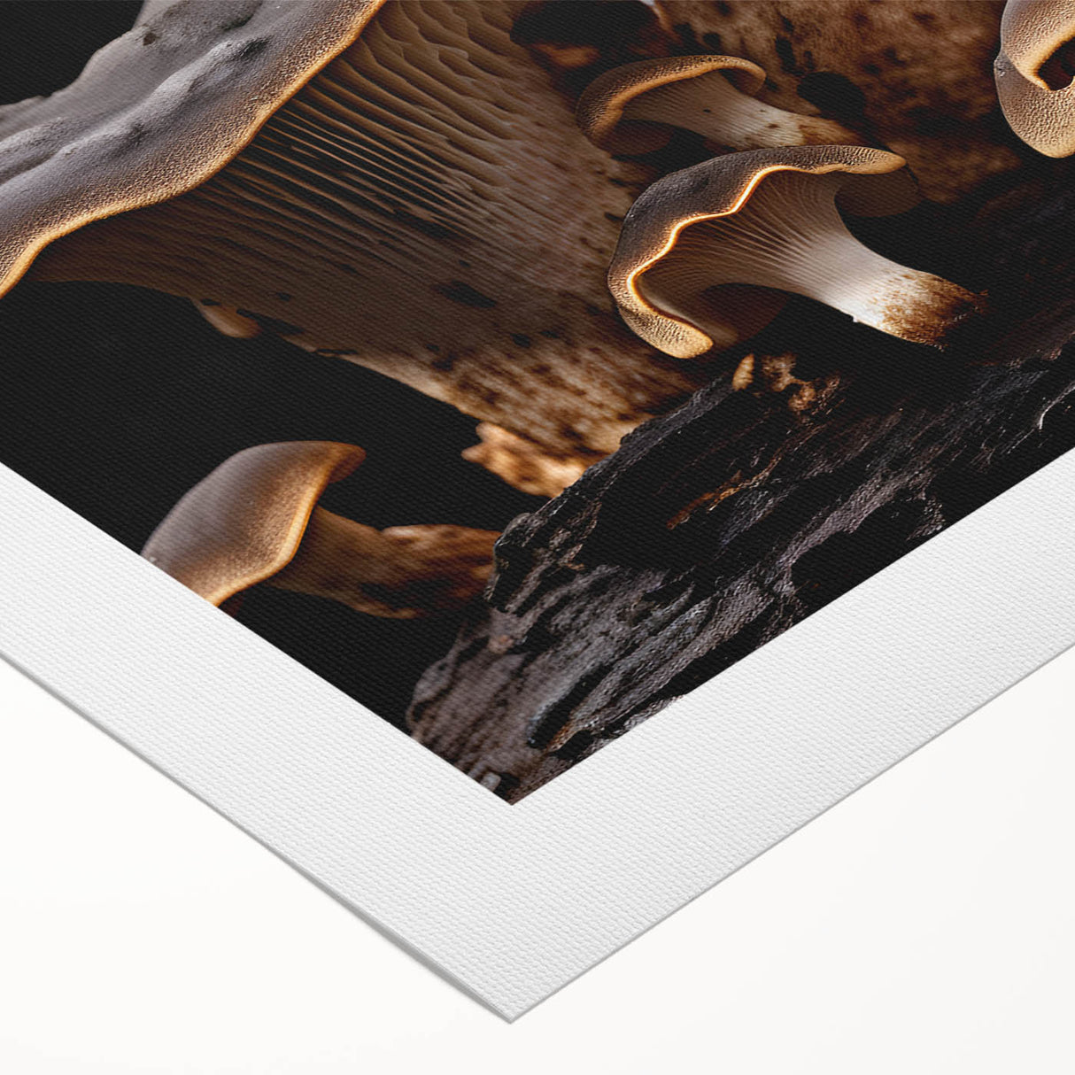 Rolled canvas showcasing a vibrant botanical design featuring colorful flowers and mushrooms, ideal for nature-themed decor, rolled for easy display and storage.
