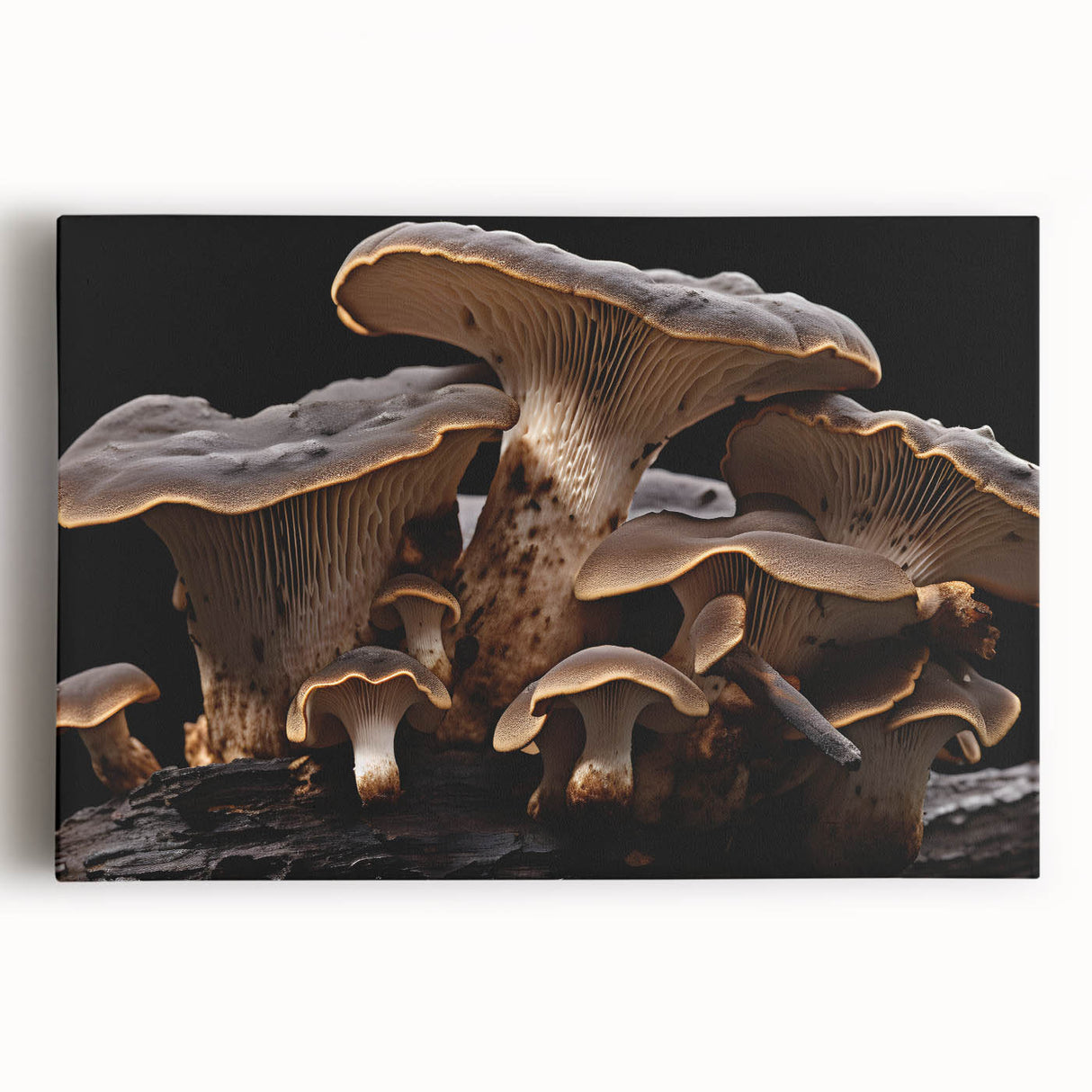 Stretched canvas featuring a vibrant botanical design with intricate flowers and mushrooms, showcasing rich colors and details, ideal for enhancing home decor.