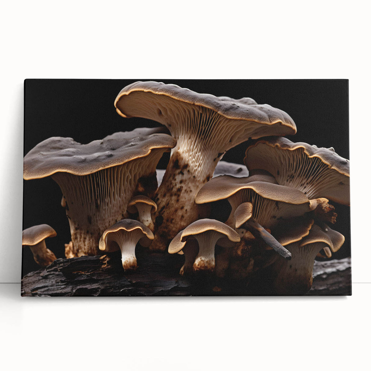 Botanical wall art featuring a vibrant collection of flowers and mushrooms on stretched canvas, ideal for home decor, showcasing intricate details and natural colors. Perfect for nature enthusiasts and art lovers alike, adding a touch of elegance to any room.