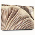 Acrylic glass wall art displaying a botanical design featuring colorful flowers and mushrooms, mounted with pins for easy hanging, showcasing vibrant colors and intricate details.