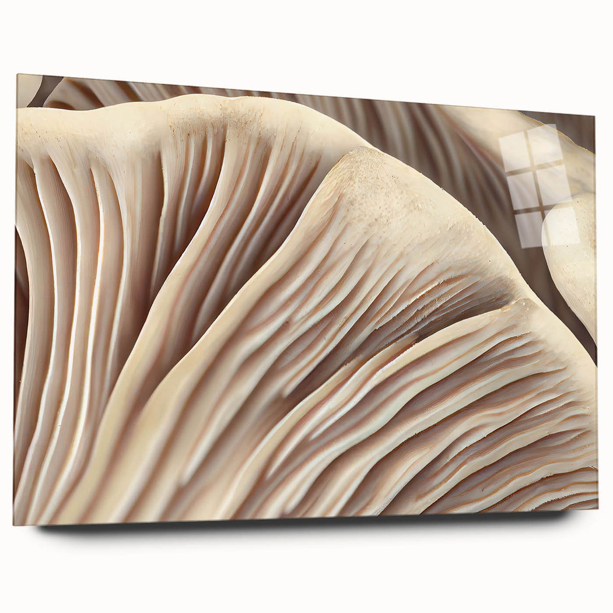 Botanical wall art featuring assorted flowers and mushrooms, displayed in a sleek acrylic frame, showcasing vibrant colors and intricate details, ideal for nature-themed decor.