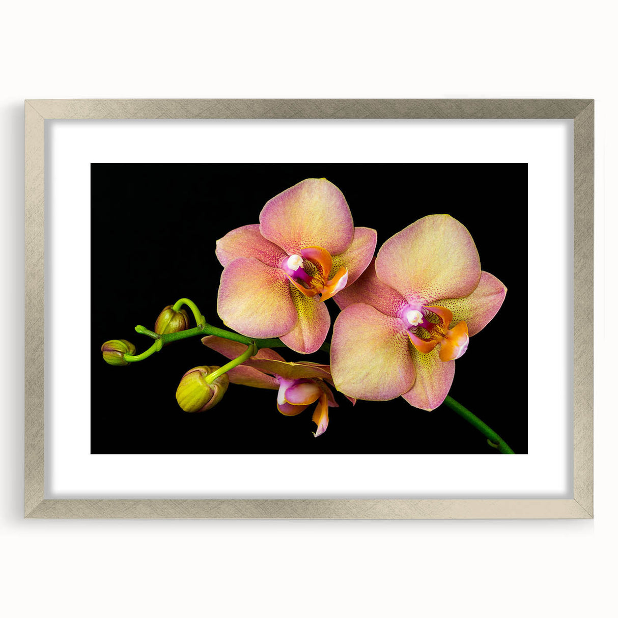 Botanical wall art featuring a vibrant orchid design in a sleek silver frame with a white mat, ideal for enhancing home decor and bringing nature indoors.