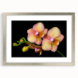 Botanical wall art featuring a vibrant orchid design in a sleek silver frame with a white mat, ideal for enhancing home decor and bringing nature indoors.