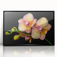 Framed wall art featuring a botanical orchid design, showcasing vibrant colors and intricate details, set in a sleek black frame for modern decor. Ideal for enhancing interior spaces with a touch of nature.