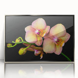 Framed wall art showcasing a botanical orchid design in vibrant colors, complemented by a sleek silver frame, ideal for enhancing home decor elegance.