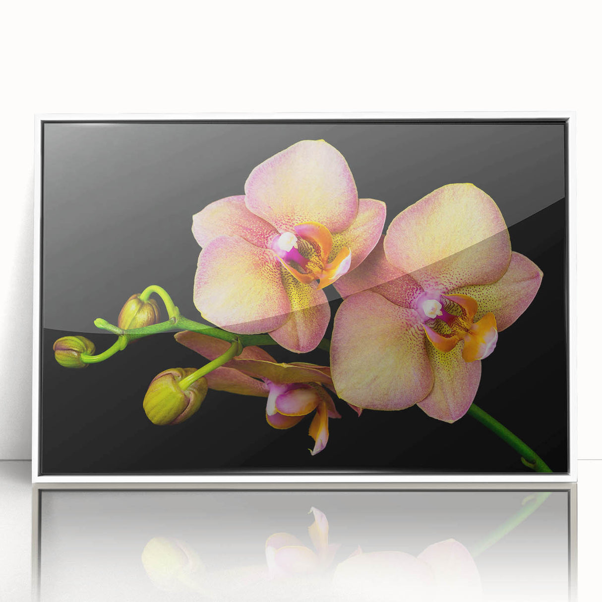 Framed acrylic wall art showcasing a vibrant botanical orchid design with intricate details, set against a sleek white background, perfect for modern decor.