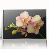 Framed acrylic wall art showcasing a vibrant botanical orchid design with intricate details, set against a sleek white background, perfect for modern decor.