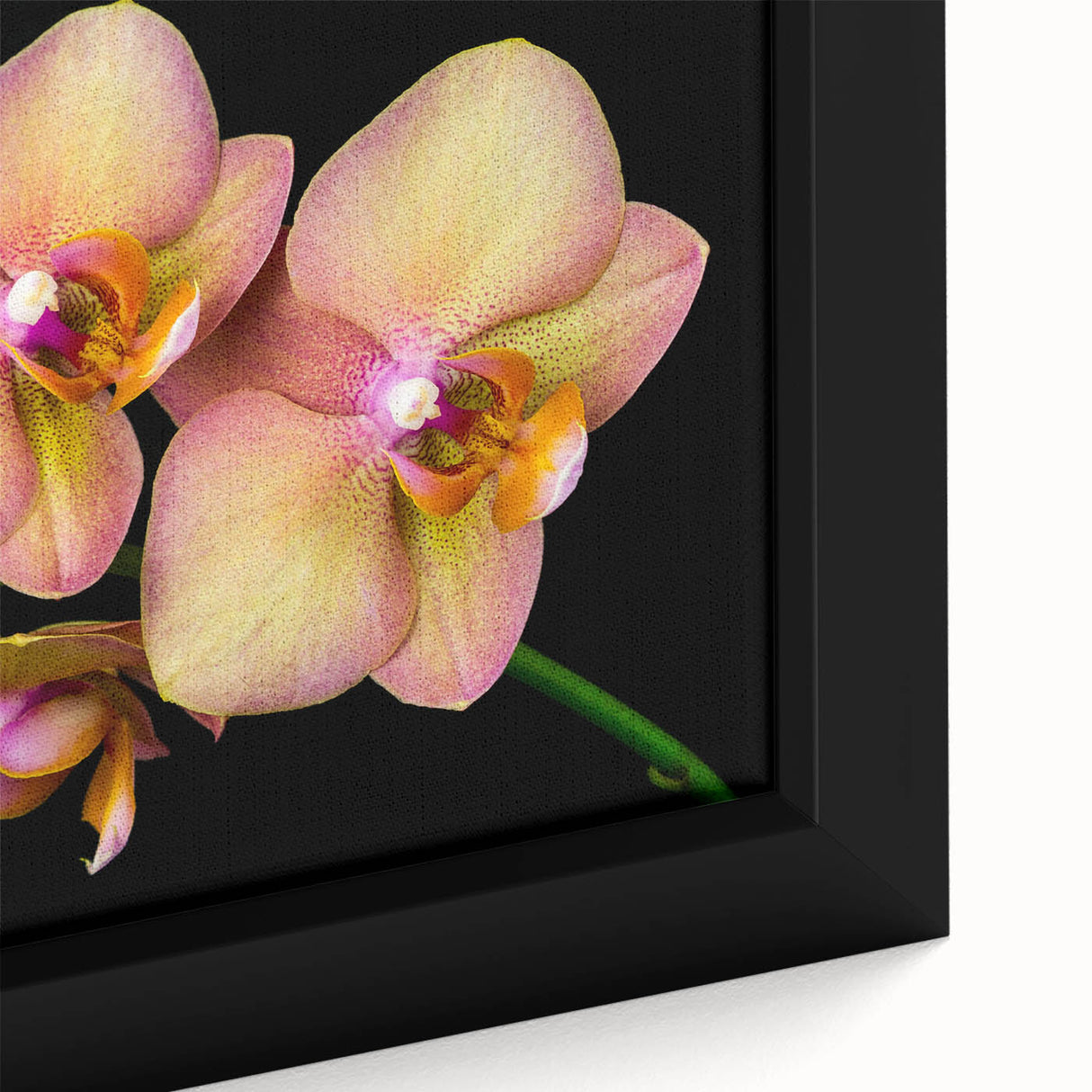 Close-up of a vibrant botanical orchid wall art design in a framed canvas, showcasing intricate floral details and rich colors, perfect for home decor.