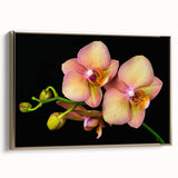 Framed botanical wall art featuring a delicate orchid design, elegantly displayed with a gold frame, adding a touch of sophistication to home decor.