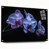 Elegant botanical orchid wall art design displayed in acrylic glass, featuring vibrant colors and intricate details, ideal for modern home decor.
