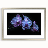 Botanical wall art featuring a detailed orchid design with a silver frame and mat, perfect for enhancing home decor with natural elegance and sophistication.