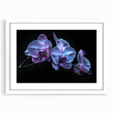 Elegant botanical orchid wall art design in a white frame with a mat, showcasing vibrant floral details and a modern aesthetic, perfect for home decor.