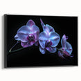 Framed botanical wall art design featuring vibrant orchids on a black background, showcasing elegant floral details and textures, ideal for home decor.