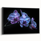 Framed botanical wall art design featuring vibrant orchids on a black background, showcasing elegant floral details and textures, ideal for home decor.