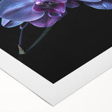 Botanical wall art featuring a vibrant orchid design on rolled canvas, showcasing rich colors and intricate details, perfect for home decoration or gifting.