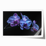 Botanical wall art print featuring a vibrant orchid design in shades of purple and green, elegantly rolled for easy display and shipping. Perfect for nature lovers.