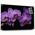 Acrylic glass wall art showcasing a vibrant botanical orchid design, elegantly displayed at an angle with visible mounting pins, perfect for home decor.