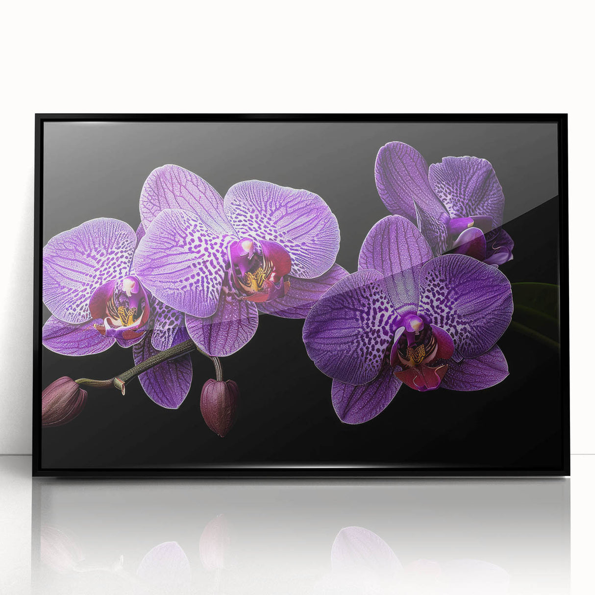 Framed wall art featuring a botanical orchid design in vibrant colors, set against a sleek black background, ideal for modern home decor and floral enthusiasts.