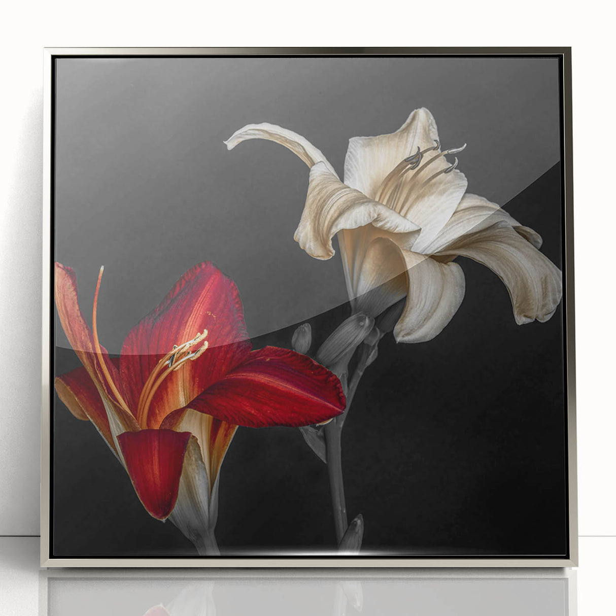 Framed wall art showcasing a botanical orchid design in vibrant colors, encased in a sleek silver frame, perfect for enhancing modern home decor.