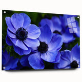 Vibrant botanical wall art featuring a beautifully designed pansy in rich colors, displayed in an acrylic frame with pins. Perfect for floral decor enthusiasts.