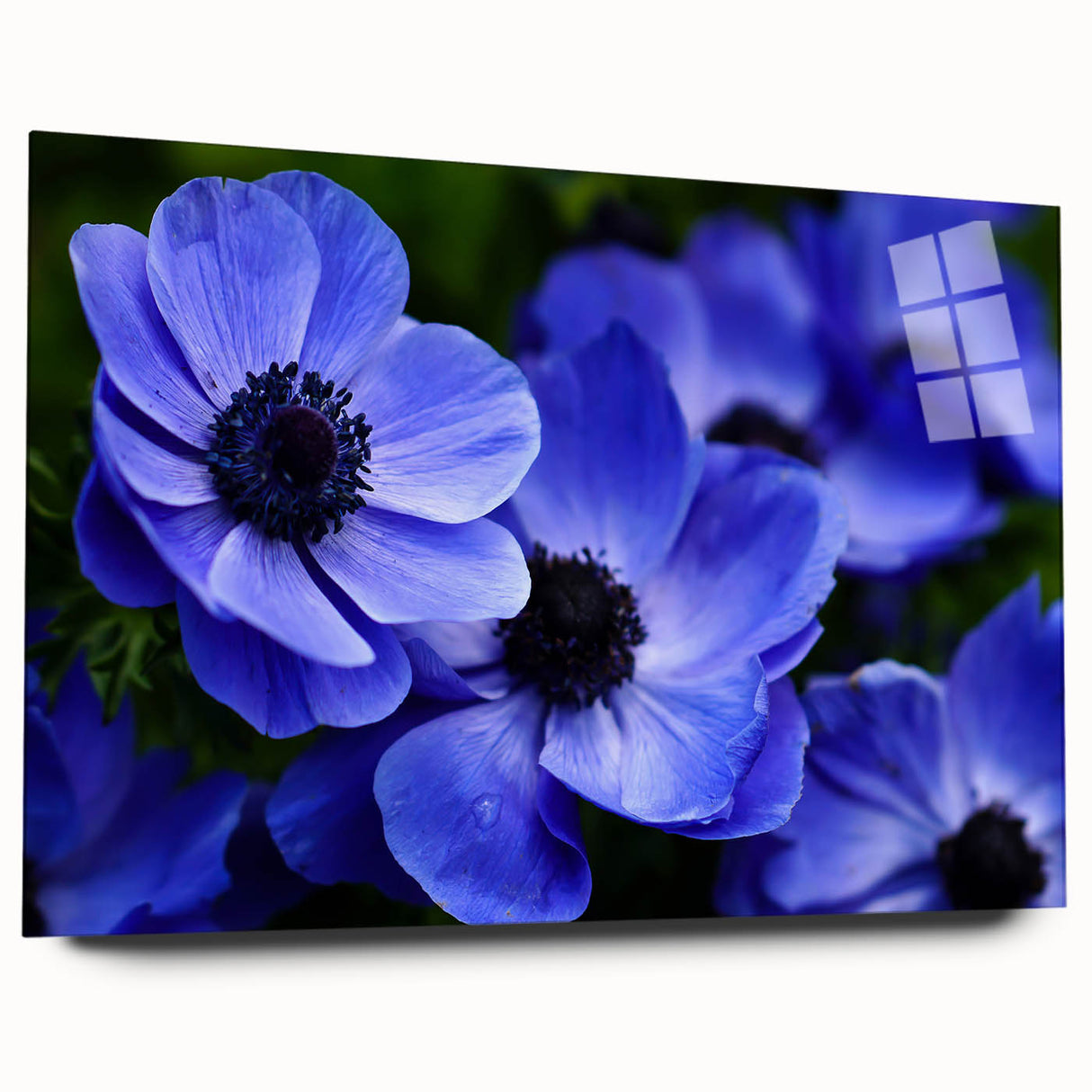 Vibrant botanical wall art featuring a detailed pansy design, displayed in a sleek acrylic glass frame, showcasing its vivid colors and intricate patterns. Perfect for floral decor enthusiasts, this elegant piece enhances any interior space with its artistic charm.