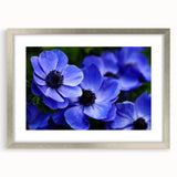 Framed botanical wall art featuring a vibrant pansy design with a silver mat and frame, perfect for adding a touch of nature-inspired elegance to home decor.