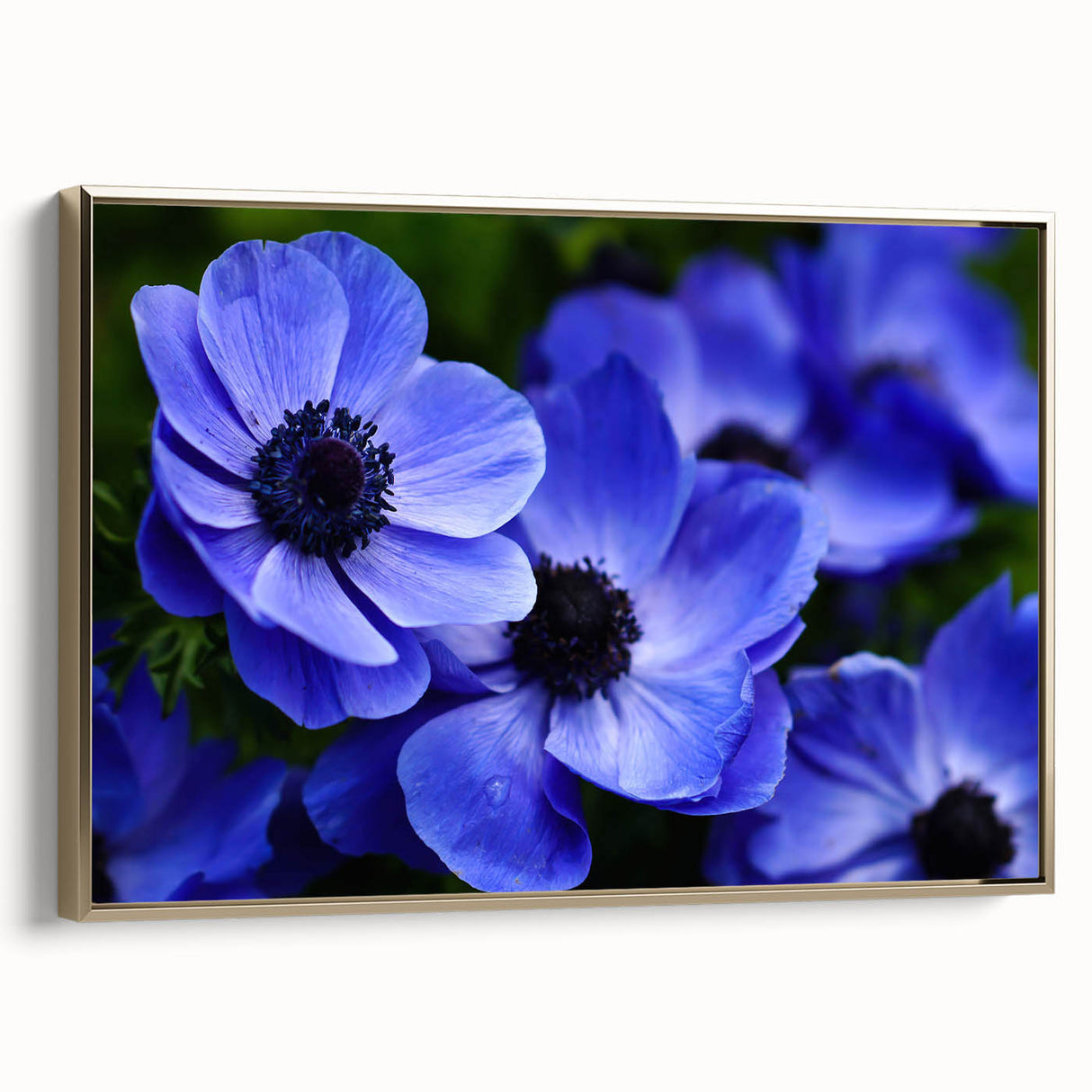 Framed canvas wall art showcasing a botanical pansy design with vibrant colors and intricate details, featuring a gold frame for an elegant touch. Perfect for home decor.