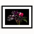 Framed botanical wall art featuring a peony design with a black frame and mat, showcasing intricate floral details ideal for home decor enhancement.