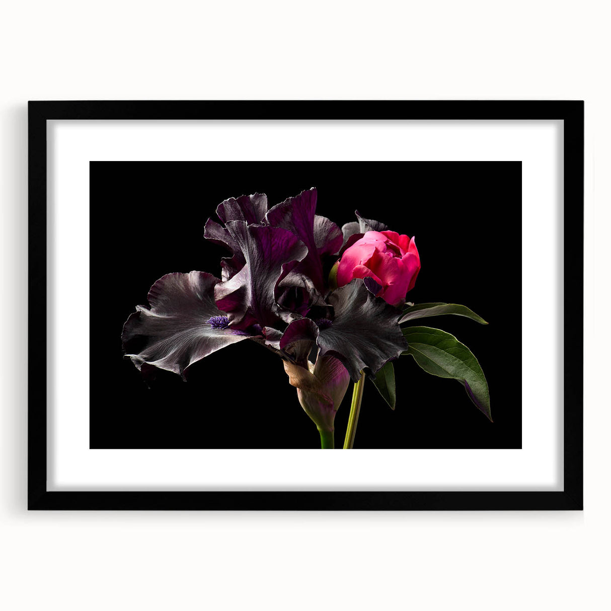 Framed botanical wall art featuring a peony design with a black frame and mat, showcasing intricate floral details ideal for home decor enhancement.