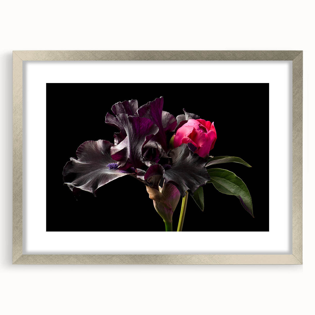 Botanical wall art featuring a beautifully framed peony design with a silver mat, showcasing vibrant floral details and elegant styling, perfect for home décor.