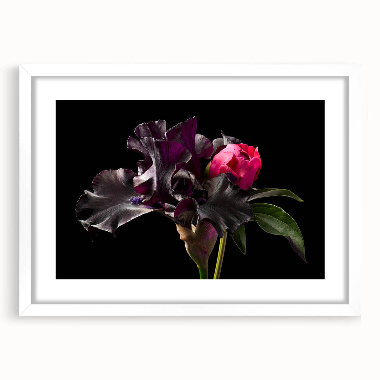 White-framed wall art showcasing a botanical peony design, featuring vibrant pink and green hues, elegantly matted for a polished look, perfect for home decor.