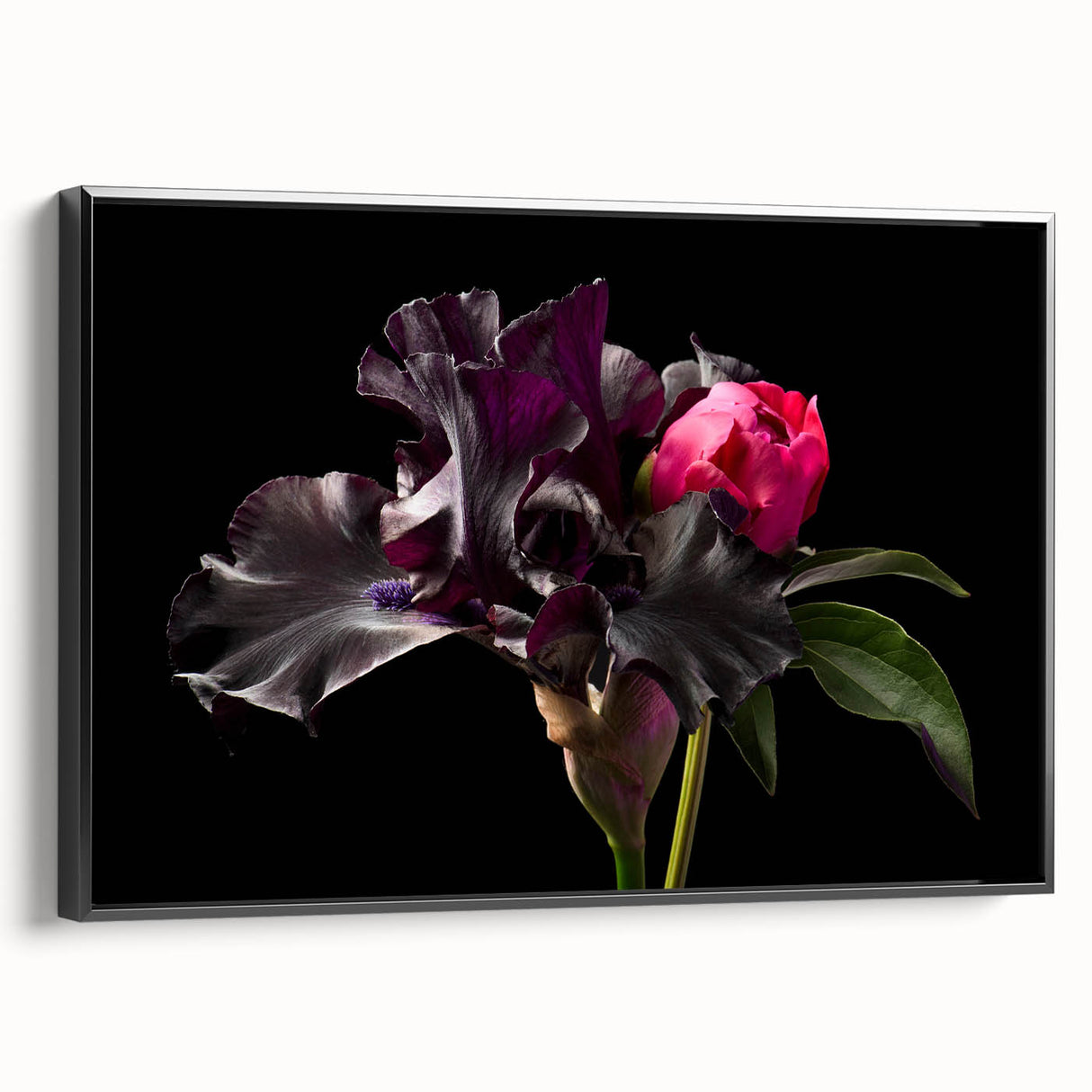 Framed canvas wall art showcasing a botanical peony design, featuring soft pink and white flowers on a black background, ideal for home decor enhancement.