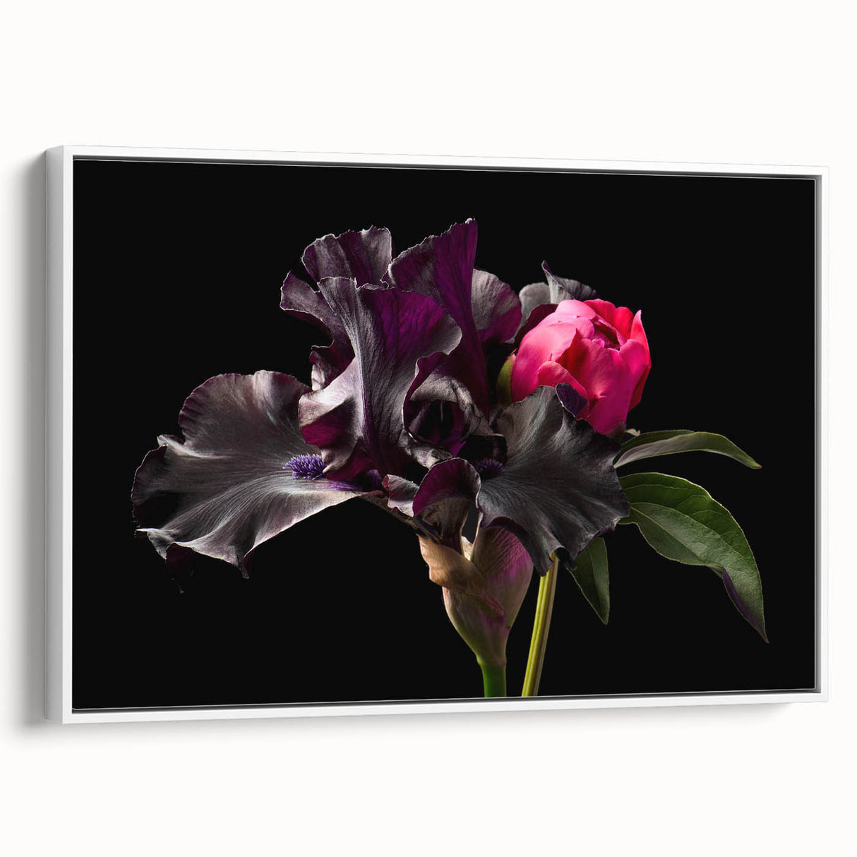 Elegant framed canvas wall art featuring a botanical peony design, showcasing soft pink and white flowers against a clean white background, ideal for home décor.