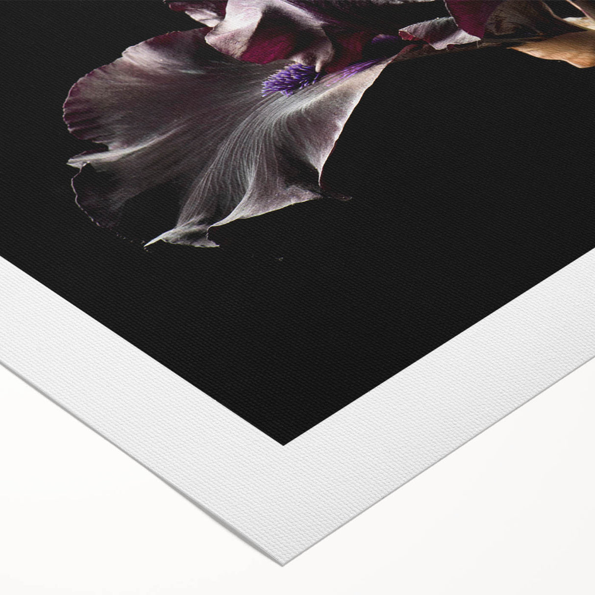 Botanical wall art featuring a vibrant peony design on rolled canvas, showcasing delicate pink petals and lush green leaves, perfect for home decor.