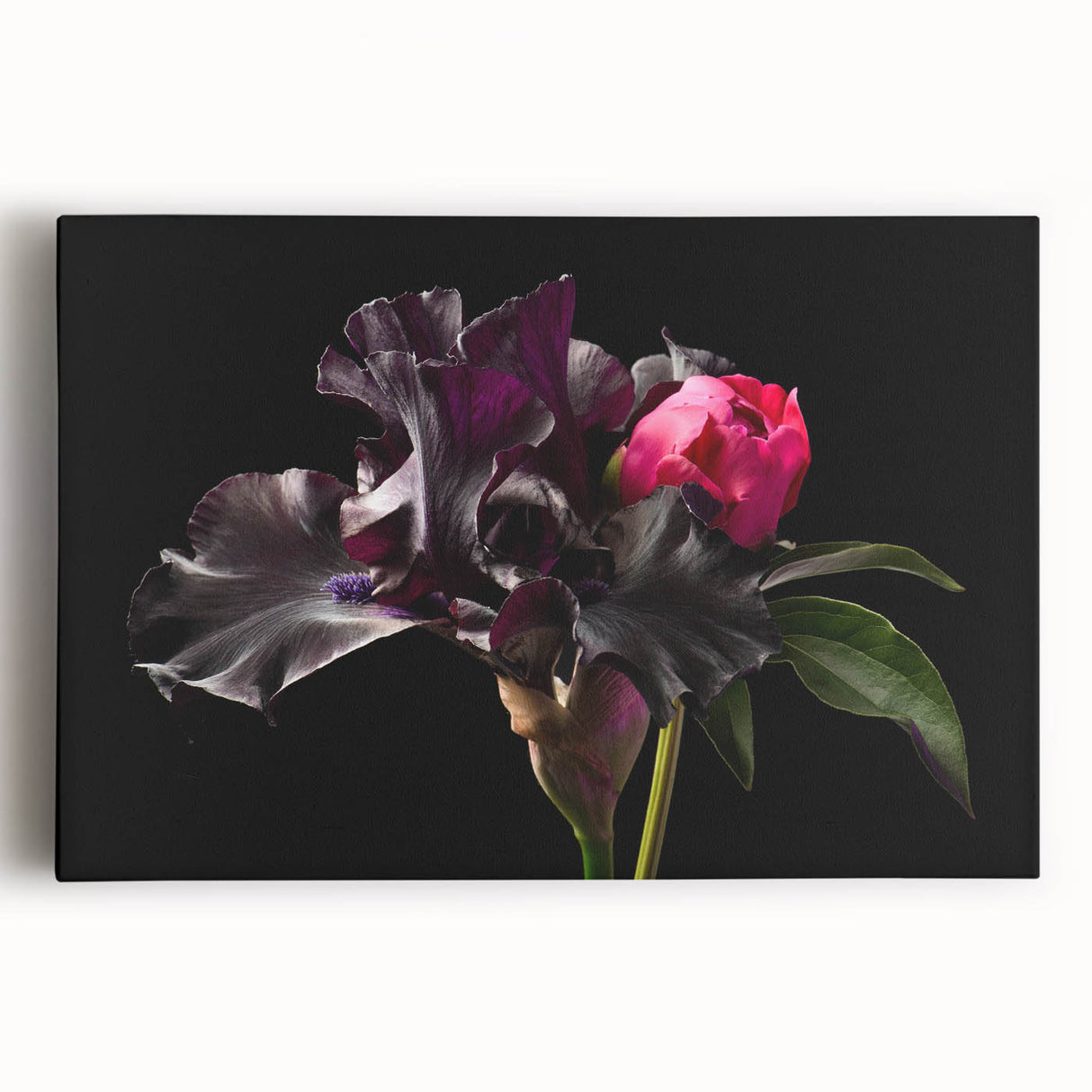 Vibrant botanical peony wall art on stretched canvas, showcasing soft pink and white flowers with lush green leaves, perfect for home decor or floral enthusiasts.