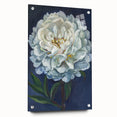 Side view of an acrylic glass wall art piece featuring a botanical peony design, elegantly displayed with pins against a neutral background, showcasing vibrant colors and intricate floral details. Perfect for home decor enthusiasts seeking nature-inspired artwork.