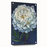 Side view of an acrylic glass wall art piece featuring a botanical peony design, elegantly displayed with pins against a neutral background, showcasing vibrant colors and intricate floral details. Perfect for home decor enthusiasts seeking nature-inspired artwork.