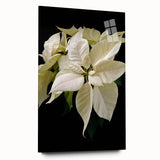 Acrylic wall art featuring a vibrant botanical poinsettia design, showcasing rich colors and intricate details, elegantly displayed in a side view without pins. Perfect for adding a touch of nature to any interior decor.