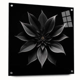 Elegant botanical wall art featuring a vibrant poinsettia design printed on acrylic glass, showcased in a side view with decorative pins, perfect for home decor.