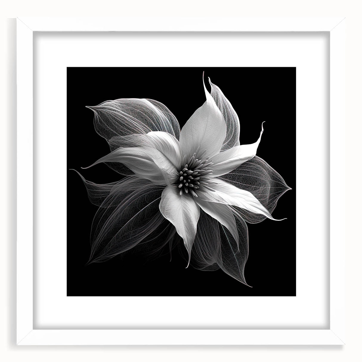 Botanical wall art collection featuring a vibrant poinsettia design, elegantly framed with a white mat, showcasing intricate floral details and a modern aesthetic.