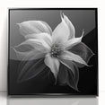 Framed botanical wall art featuring a vibrant poinsettia design on an acrylic surface, showcased in a sleek black frame, perfect for holiday decor.