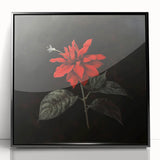 Framed botanical wall art featuring a vibrant red poinsettia design on a sleek black background, perfect for adding a festive touch to home decor.