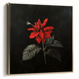 Framed botanical wall art featuring a vibrant poinsettia design in shades of red and green, elegantly displayed against a silver and gold backdrop, perfect for holiday decor.
