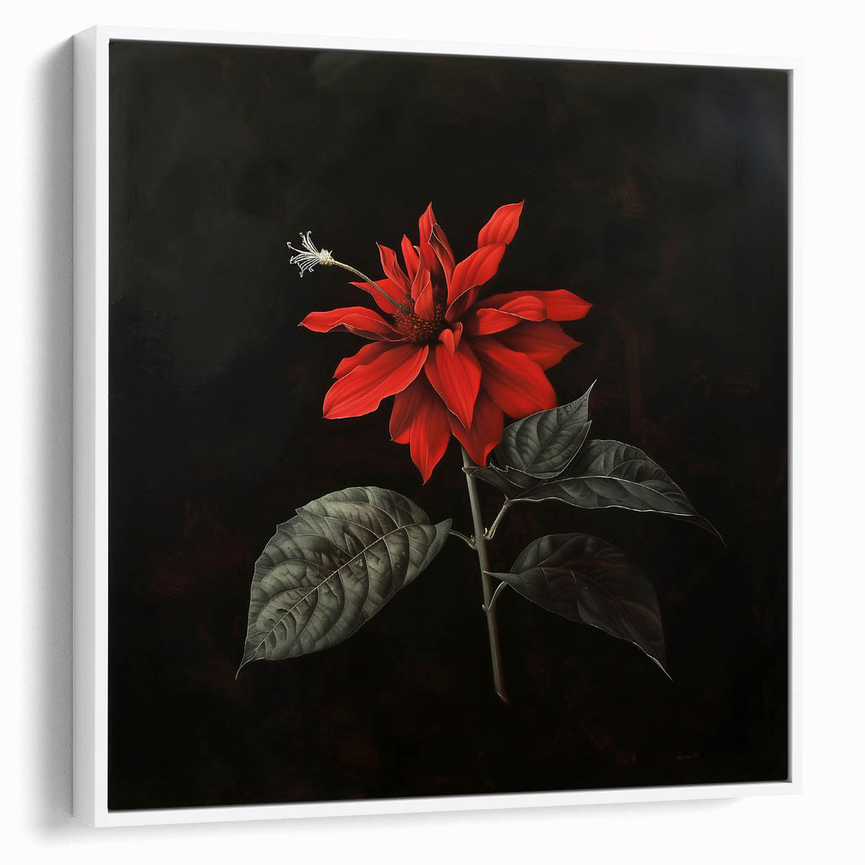 Framed canvas wall art featuring a botanical poinsettia design, showcasing vibrant red and green colors against a white background, perfect for home decor.