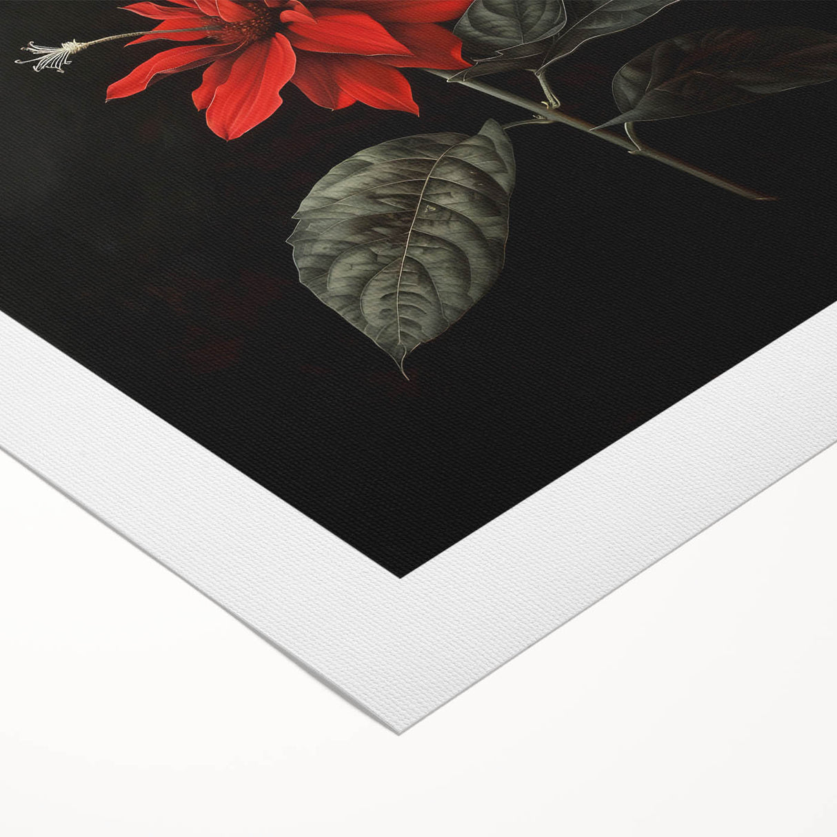 Botanical wall art featuring a vibrant poinsettia design on rolled canvas, showcasing detailed floral illustrations in rich colors, perfect for festive decor.