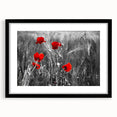 Botanical wall art print featuring a delicate poppy design in vibrant colors, framed in black with a white mat, suitable for home decor or gifting.