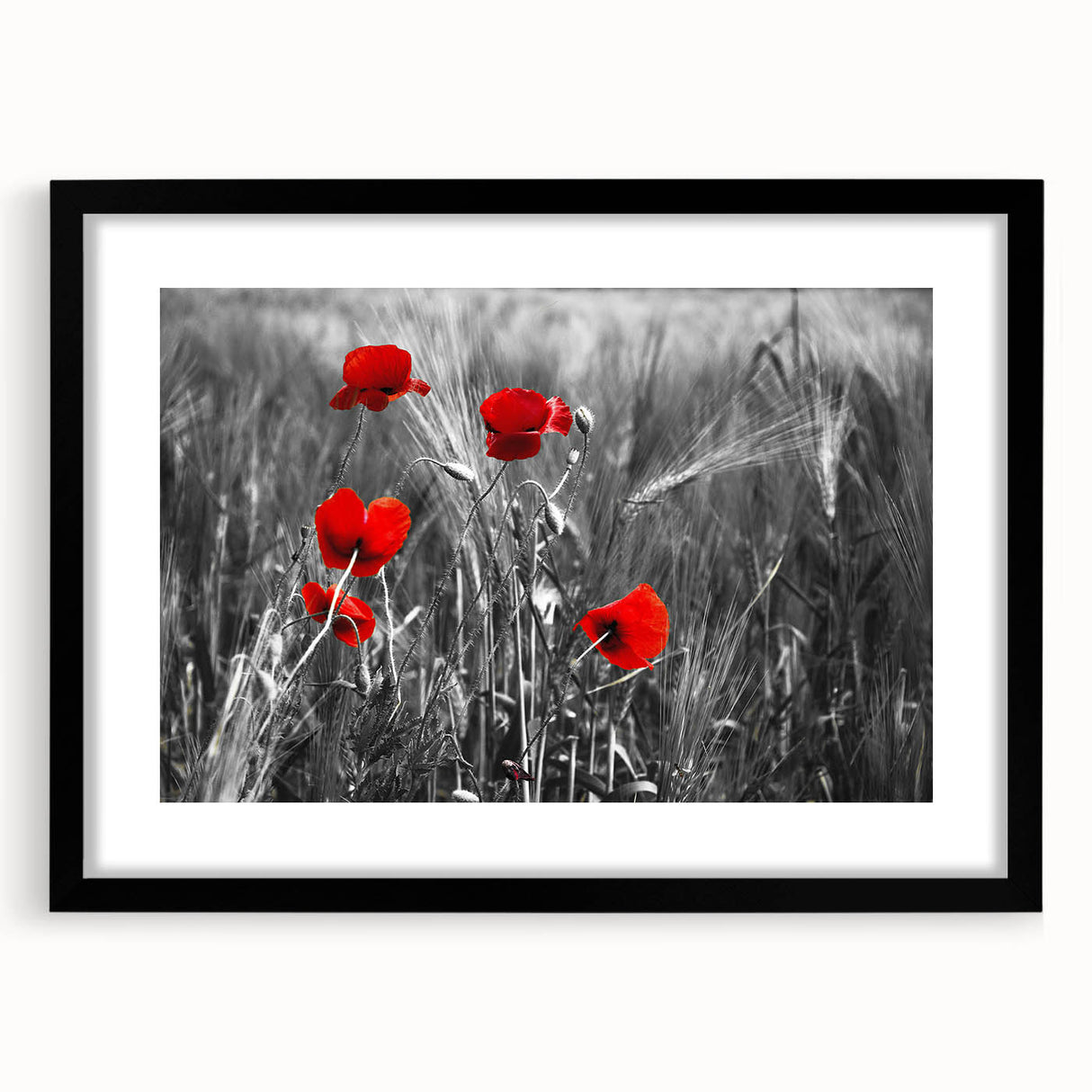 Botanical wall art print featuring a delicate poppy design in vibrant colors, framed in black with a white mat, suitable for home decor or gifting.